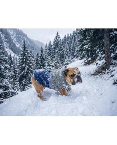 Ponte di Legno Parka termico Limited Edition per Bulldog | Bullophilosophy