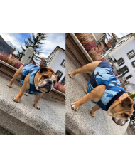 Saslong piumino Abbigliamento Bulldog su Misura | Bullophilosophy