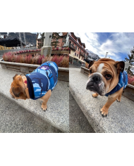 Saslong piumino Abbigliamento Bulldog su Misura | Bullophilosophy