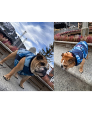 Saslong piumino Abbigliamento Bulldog su Misura | Bullophilosophy