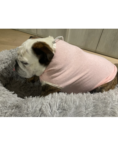 Pigiama Rosa in Flanella per Bulldog Inglese e Francese | BulloPhilosophy