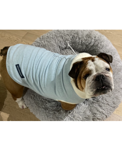Pigiama Azzurro in Flanella per Bulldog Inglese e Francese | Bullophilosophy
