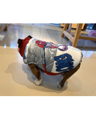 Spider-Man down-filled sweater for English Bulldogs