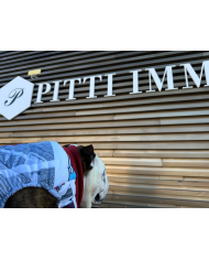 Spider-Man down-filled sweater for English Bulldogs