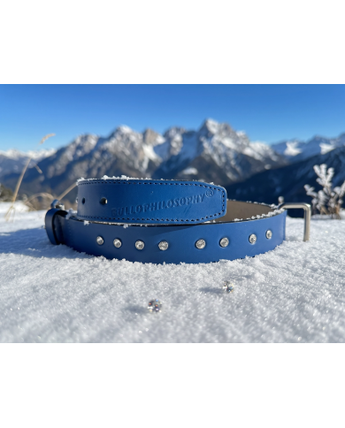 iris collare in vero cuoio con Cristalli Swarovski® di Bullophilosophy per cane bulldog inglese francese