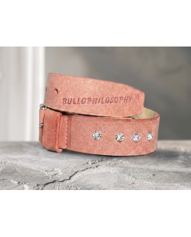 Devil Collare  in vero cuoio concia vegetale con Cristalli Swarovski® per cane bulldog inglese francese di Bullophilosophy