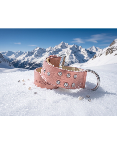 Collare Cane Artigianale Devil in Cuoio e Swarovski® | Bullophilosophy