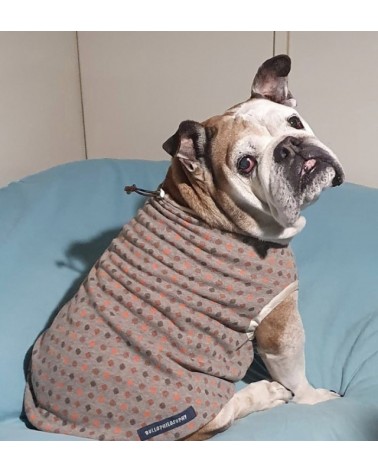 cotton-flannel-pajamas-for-english-and-french-bulldogs