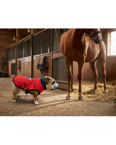 "Horse" Husky Luxury Bulldog Coat & Apparel | Bullophilosophy