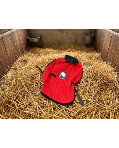 "Horse" Husky Luxury Bulldog Coat & Apparel | Bullophilosophy