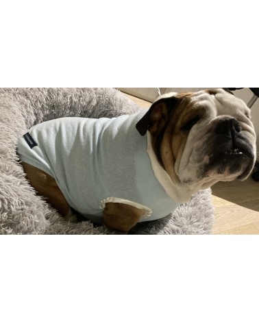 pigiamino-azzurro-in-flanella-di-cotone-per-bulldog-inglese-e-francese