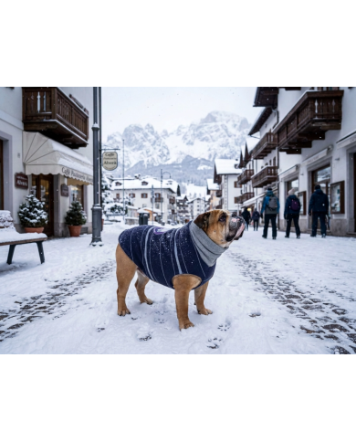 Neve Maglione termico Luxury Capo di Lusso Esclusivo per Bulldog | Bullophilosophy