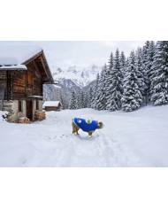 Stella Alpina Pile termico Collezione Luxury Bulldog | Bullophilosophy
